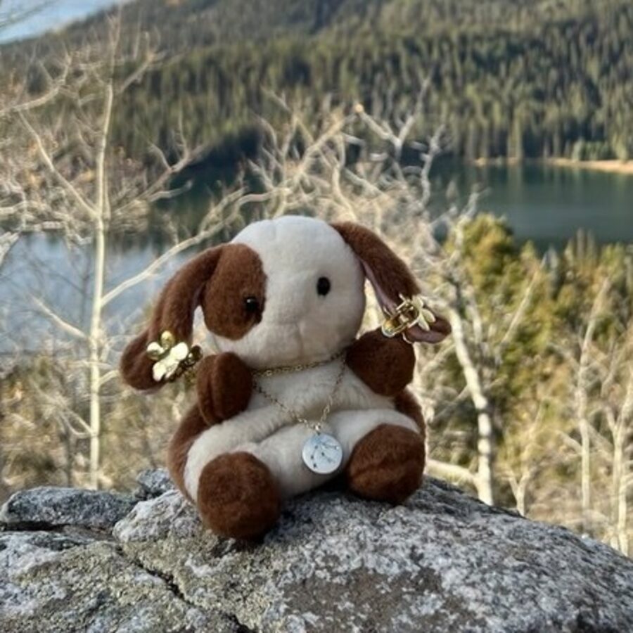 Squish, a brown and white lop bunny, sitting on a rock above a lake